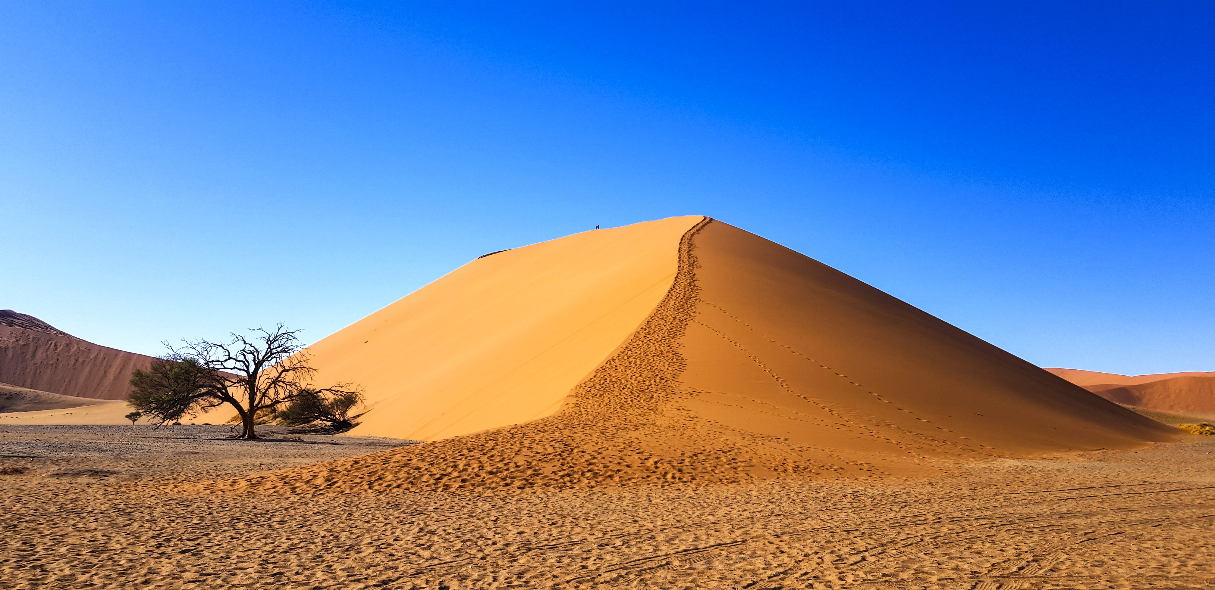 나미브-사막.jpg